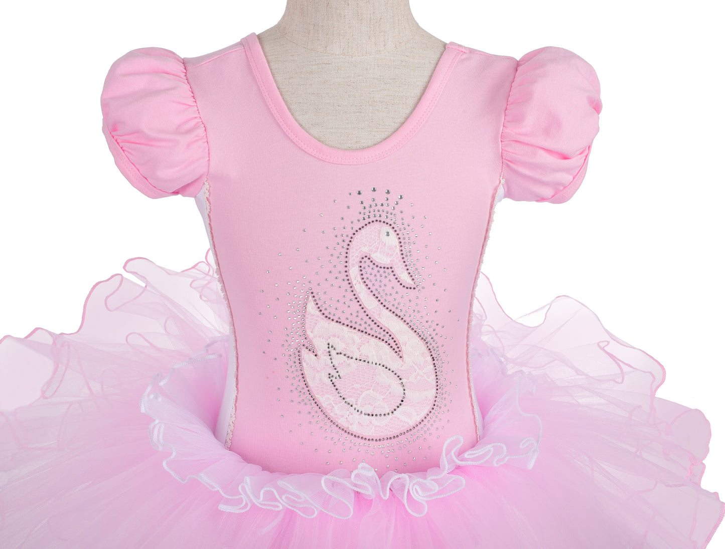 Girls Swan Ballet Tutu Dress Ballerina Dance Wear Leotard with Skirt