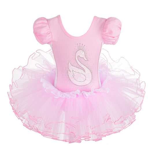 Girls Swan Ballet Tutu Dress Ballerina Dance Wear Leotard with Skirt